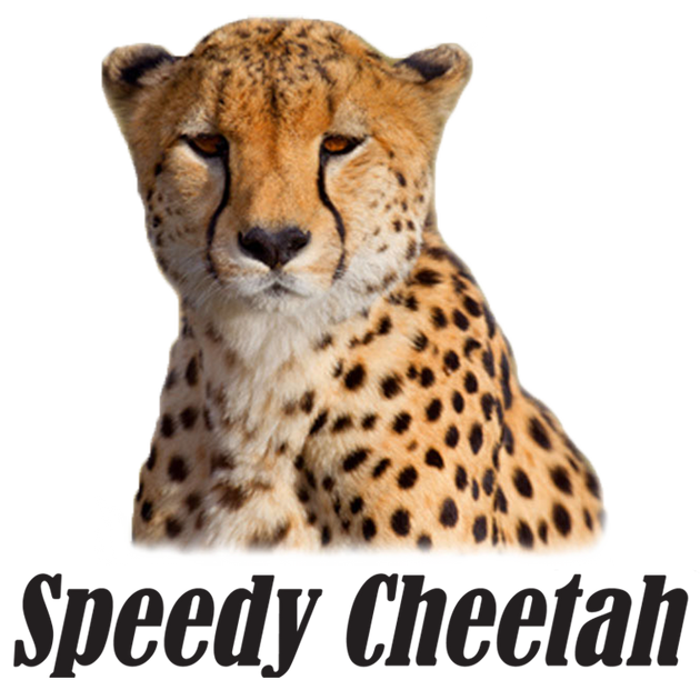 The Speedy Cheetah - Your Football Helmet HQ Since 2006