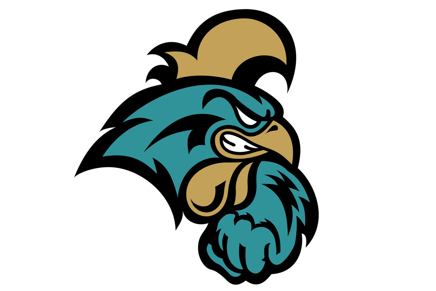 Coastal Carolina Chanticleers Helmets